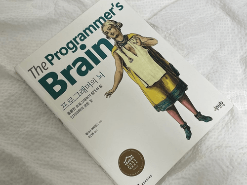 프로그래머의 뇌